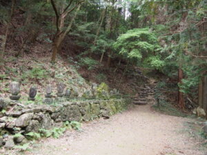 無数の石塔がある平坦地の写真です。