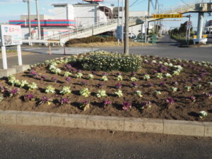 西新井町花壇の写真です。