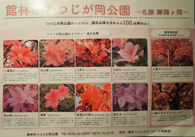 つつじが岡公園:ツツジのパンフレットの写真です。