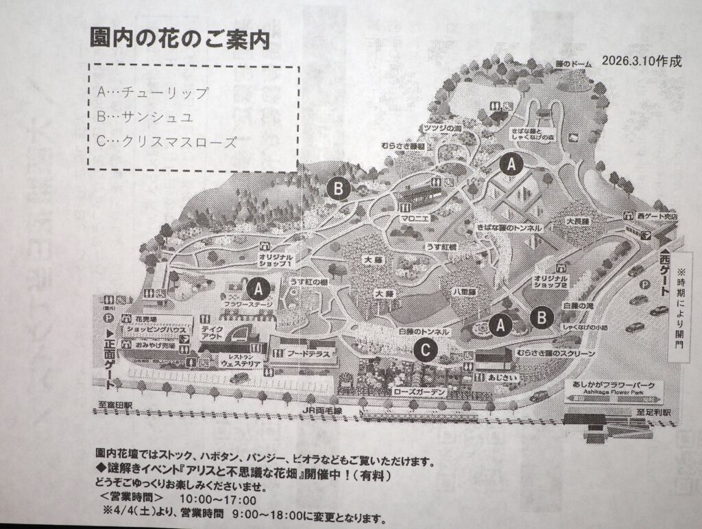 あしかがフラワーパーク：園内の花のご案内の写真です。
