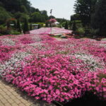 あしかがフラワーパーク「園内の花」の写真です。