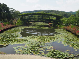 あしかがフラワーパーク「園内の花」の写真です。