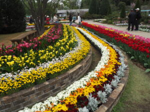 あしかがフラワーパーク4月中旬の花の写真です。
