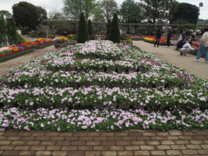 あしかがフラワーパーク4月中旬の花の写真です。