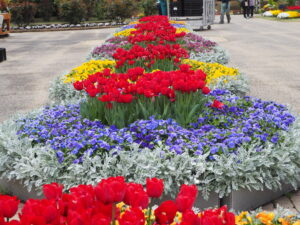 あしかがフラワーパーク4月中旬の花の写真です。