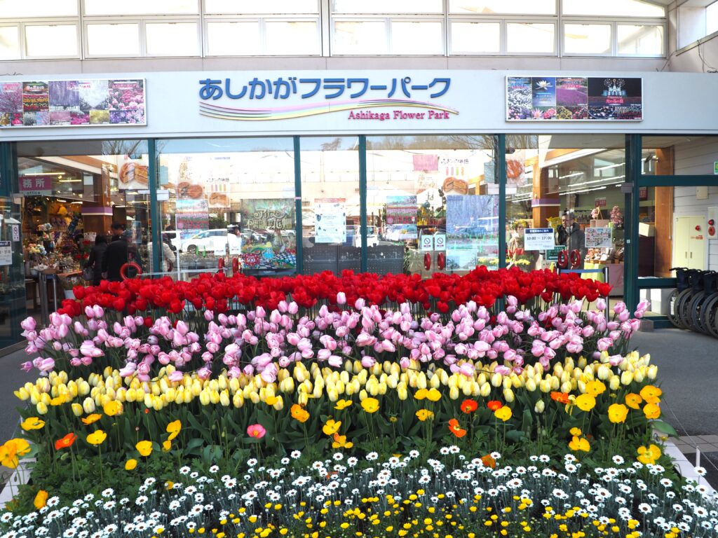 あしかがフラワーパーク：入り口の写真です。