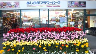 あしかがフラワーパーク：入り口の写真です。