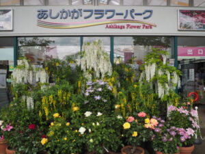 あしかがフラワーパーク：正面ゲイトの写真です。