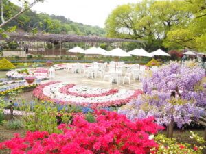 あしかがフラワーパークの花の写真です。