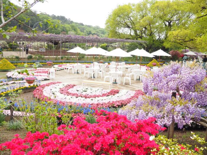 あしかがフラワーパークの花の写真です。