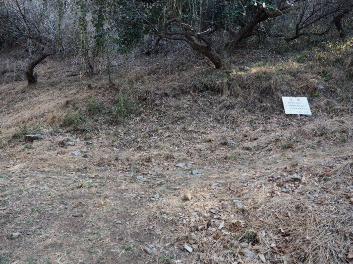 足利西渓園内の山道の写真です。