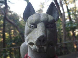 出世稲荷神社：狐の写真です。