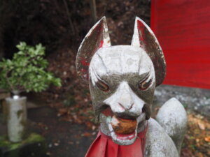 出世稲荷神社：狐の写真です。