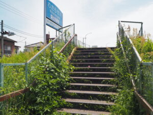 中橋から左岸堤防に上る階段の写真です。
