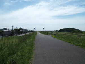 渡良瀬川左岸堤防のサイクリングロードの写真です。