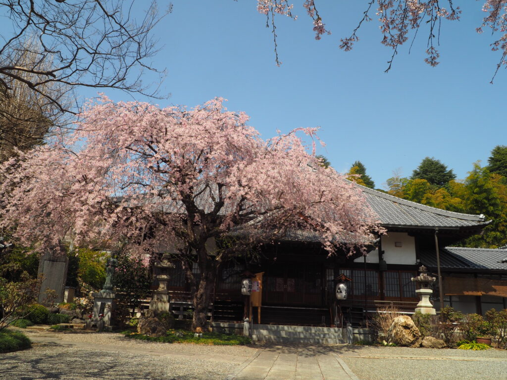 福厳寺の写真です。