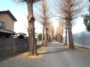 足利三十三観音霊場巡り：福居 龍泉寺の参道の写真です。