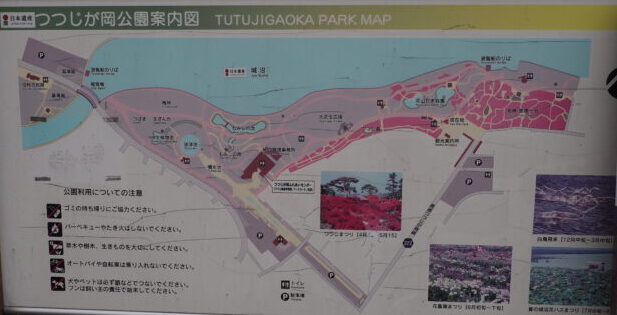 つつじが岡公園:園内案内図の写真です。