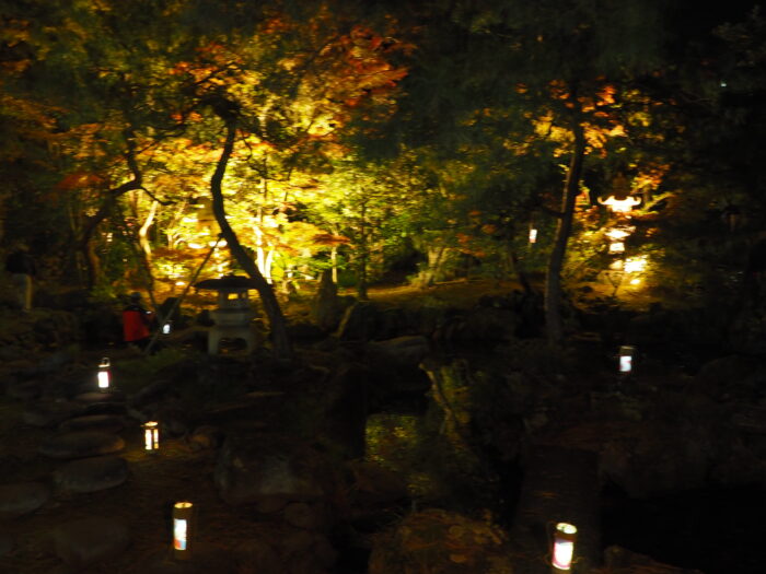 物外軒庭園ライトアップの写真です。