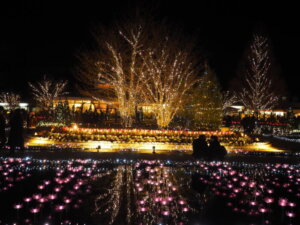 光の花の庭の写真です。