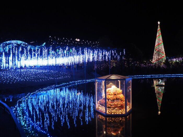 藤棚と池に浮かぶフラワーボックスの写真です。