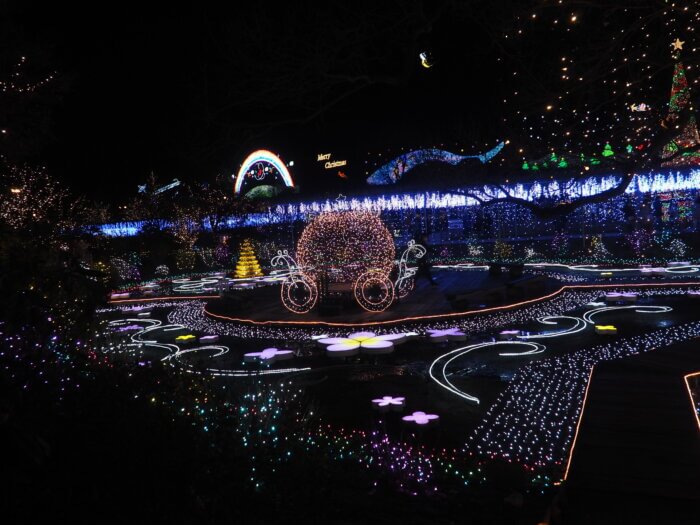 光の花の庭の写真です。