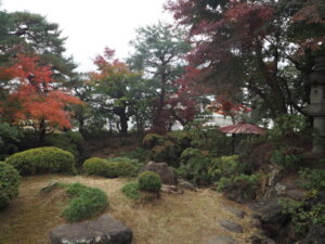 新藤氏庭園：離れの縁側から見る庭園の写真です。