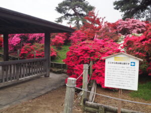 つつじが岡公園：園内のサインポストの写真です。