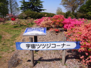 館林つつじが岡公園「宇宙つつじコーナー」の写真です。