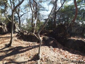 天狗山ハイキングコース：ゴジラ岩の写真です。