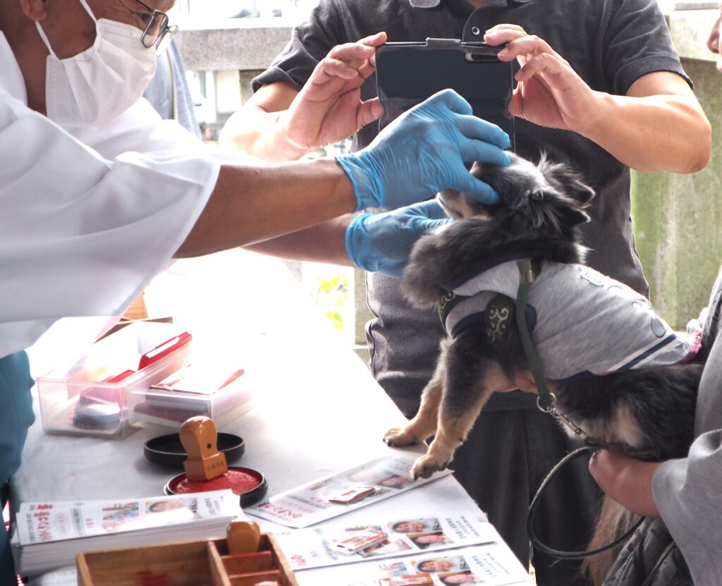 ペタンコ祭り:ペットの犬のおでこに御朱印を押している写真です。