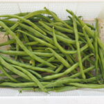 収穫したインゲンの実の写真です。