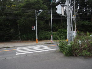 県道67号線の横断歩道の写真です。