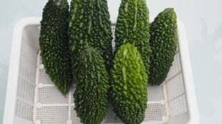 収穫したゴーヤの写真です。