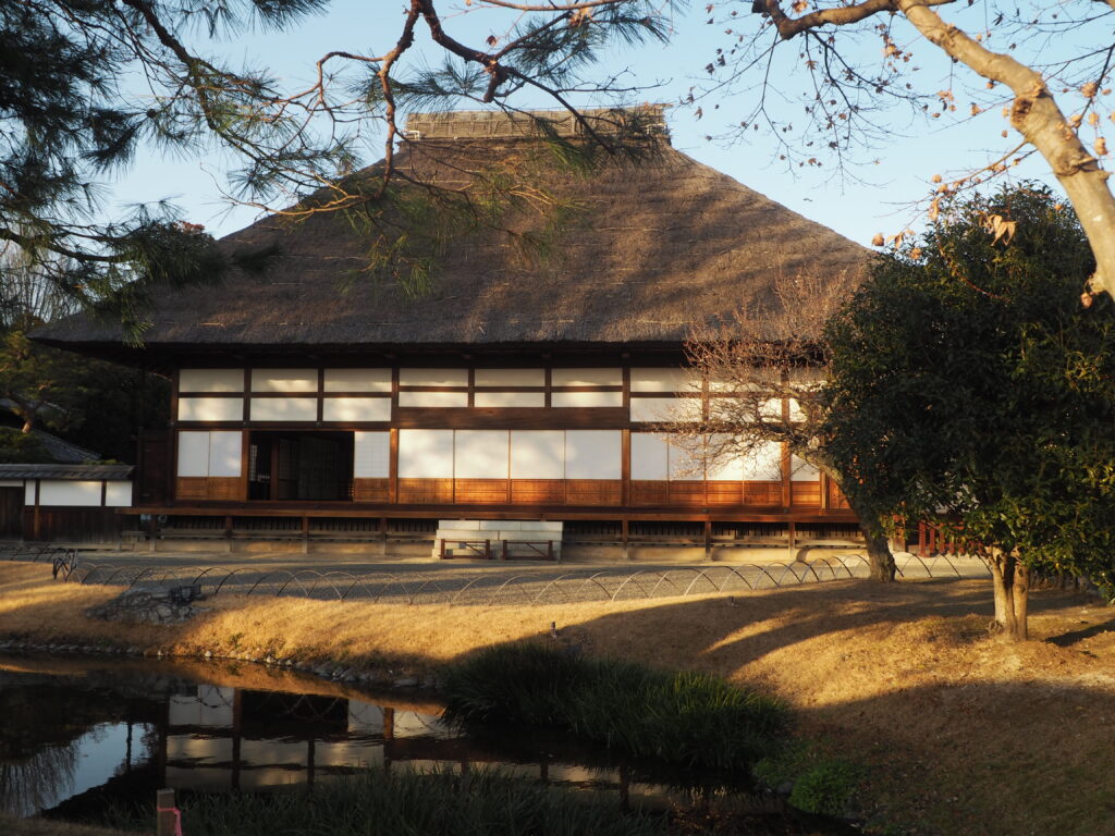 足利学校方丈前の寒梅の写真です。