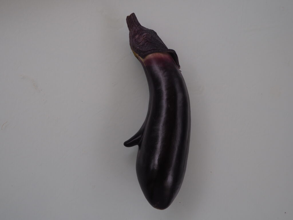 人面ナスの写真です。