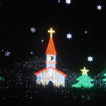 あしかがフラワーパークぼイルミネーションの写真です。