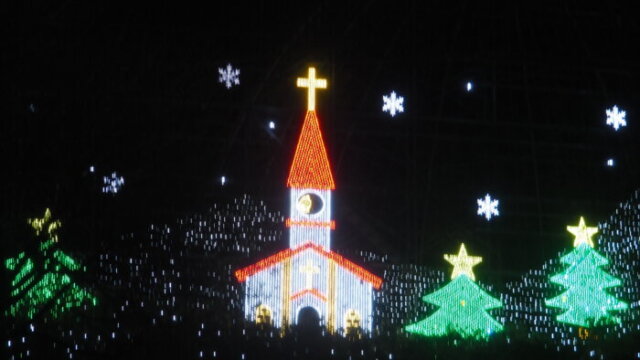 あしかがフラワーパークぼイルミネーションの写真です。