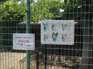 桐生が岡動物園のカンガルーを紹介する掲示板の写真です。