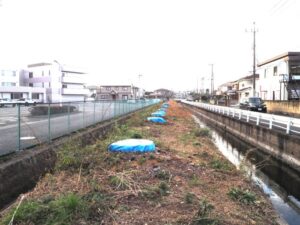 三栗谷用水：横手橋下流の伐採された桜の写真です。