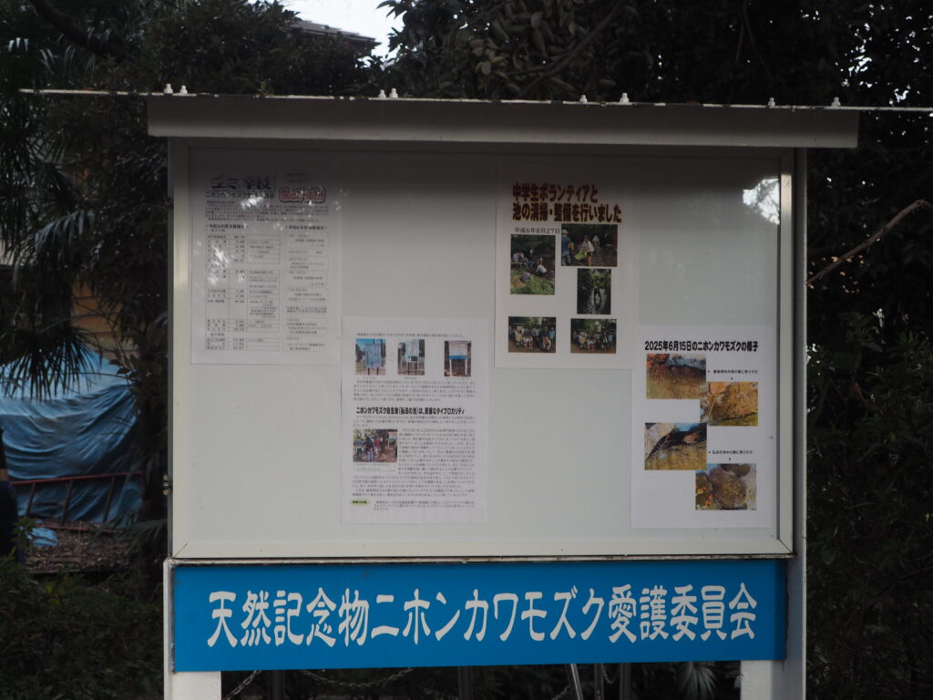 芋森神明宮：天然記念物ニホンカワモズク自生地の説明板の写真です。