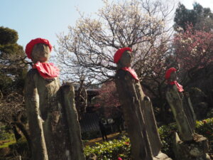 鑁阿寺：地蔵菩薩と梅の花の写真です。