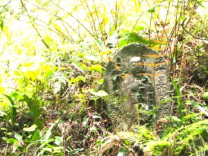 浄因寺参道に点在する石仏の写真です。