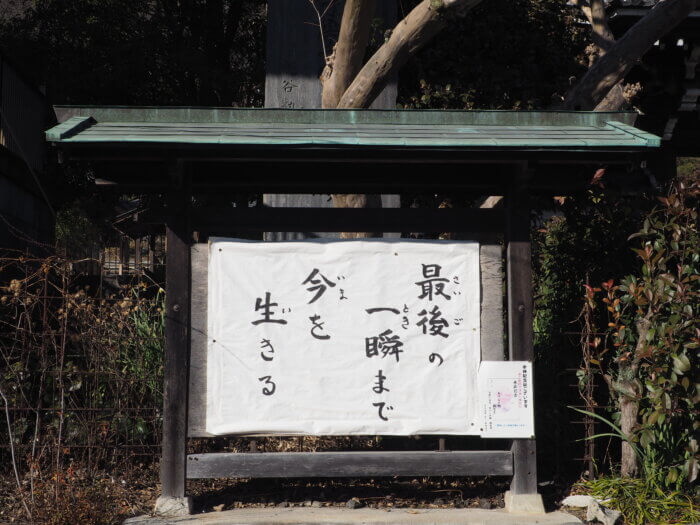 樹覚寺;メッセージの写真です。