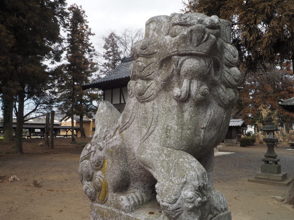 群馬県太田市龍舞賀茂神社：狛犬の写真です。