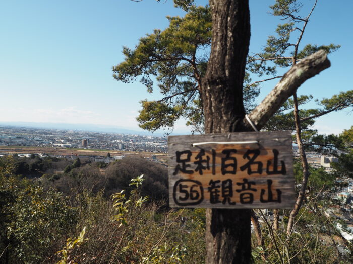 山頂標識:観音山の写真です。