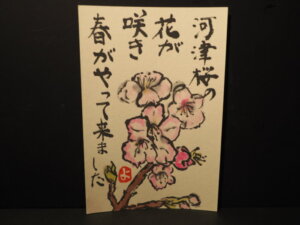 絵手紙：河津桜の写真です。