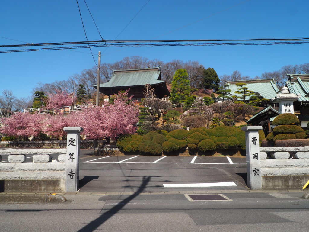 足利市「定年寺」（じょうねんじ）の川津桜の写真です。