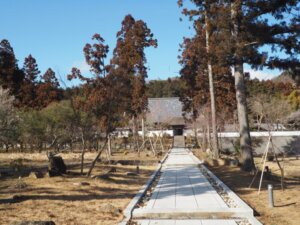 鶏足寺：参道の写真です。