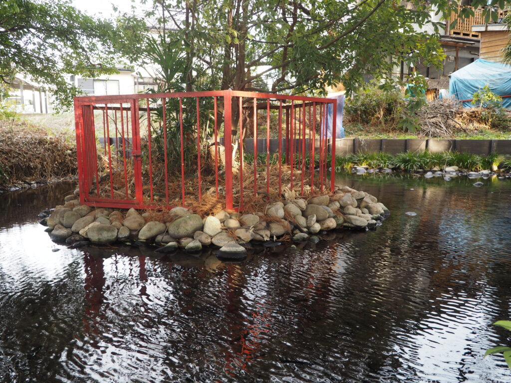 芋森神明宮：天然記念物ニホンカワモズク自生地「弘法池」の写真です。
